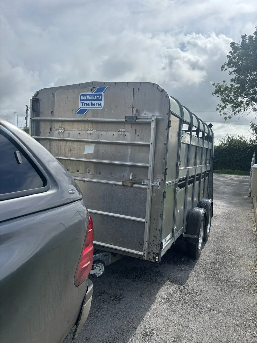 Iforwilliams cattle trailer - Image 2