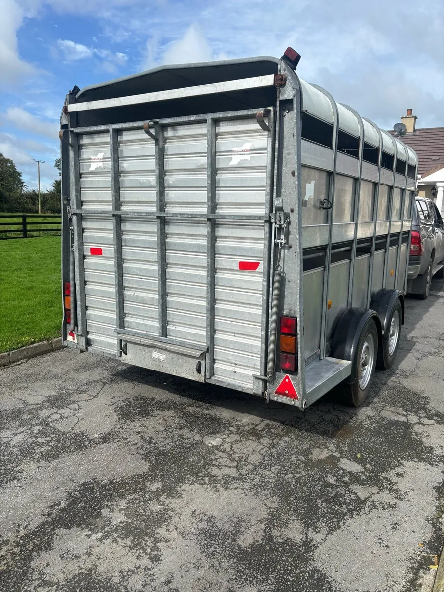 Iforwilliams cattle trailer - Image 3