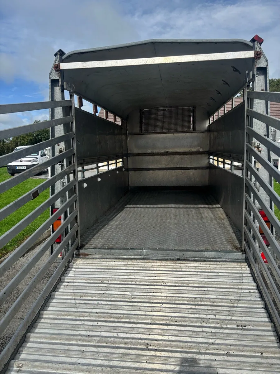 Iforwilliams cattle trailer - Image 4