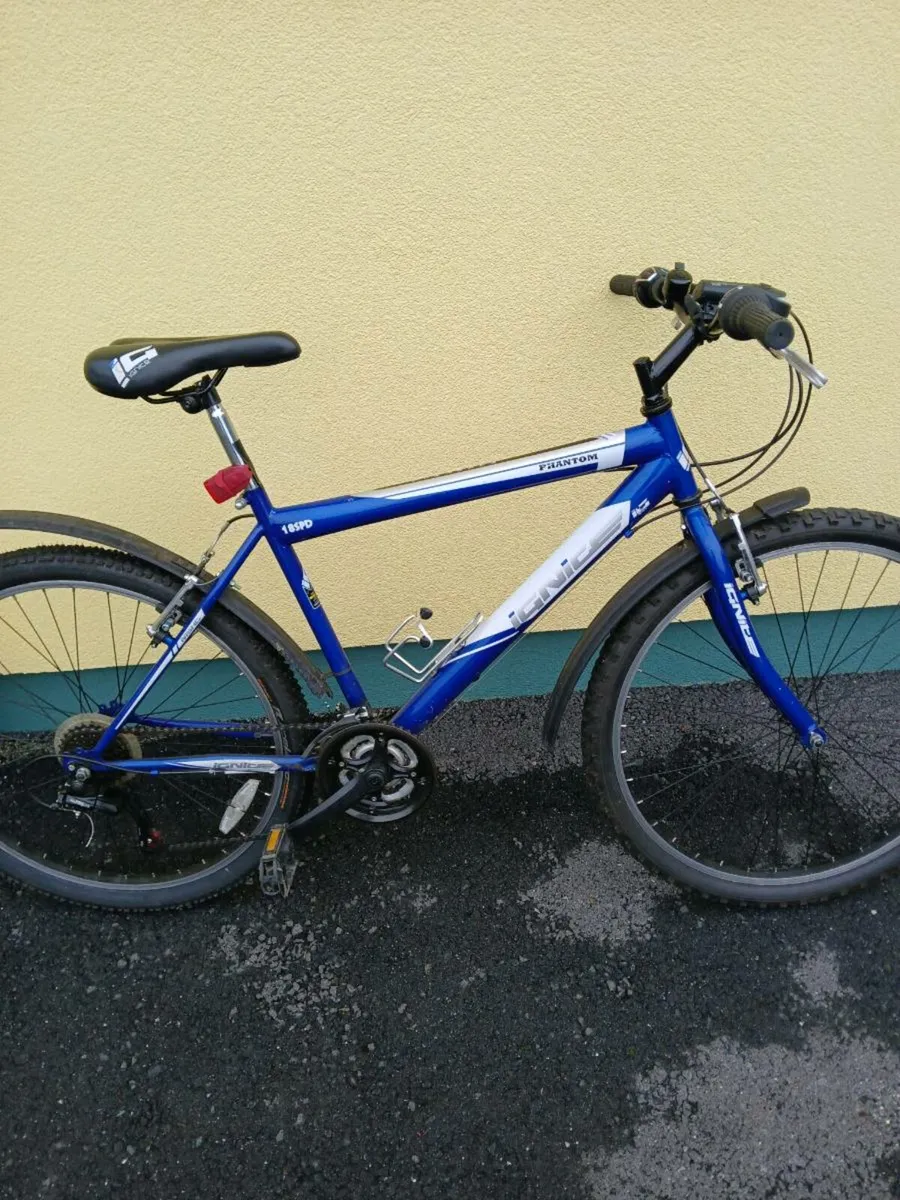 Mountain bike - Image 1