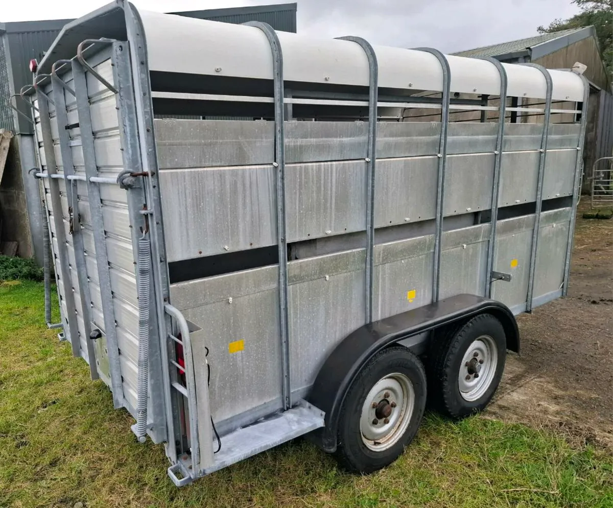 Hudson cattle trailer - Image 4