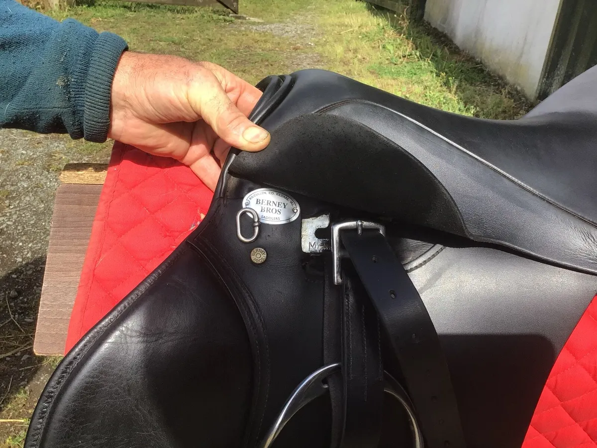 Saddlery - Image 1