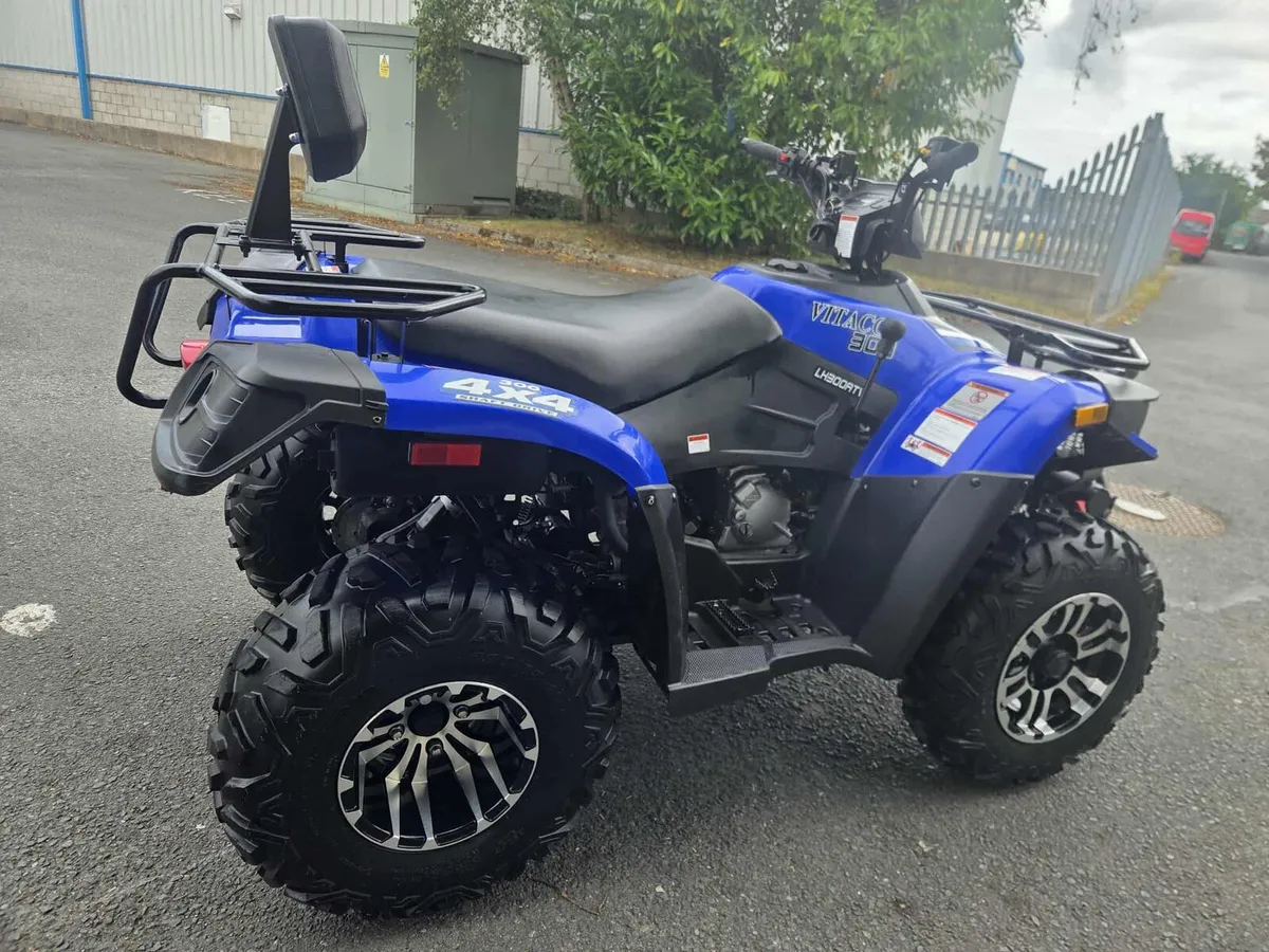 Vitacci 300 quad - Image 1