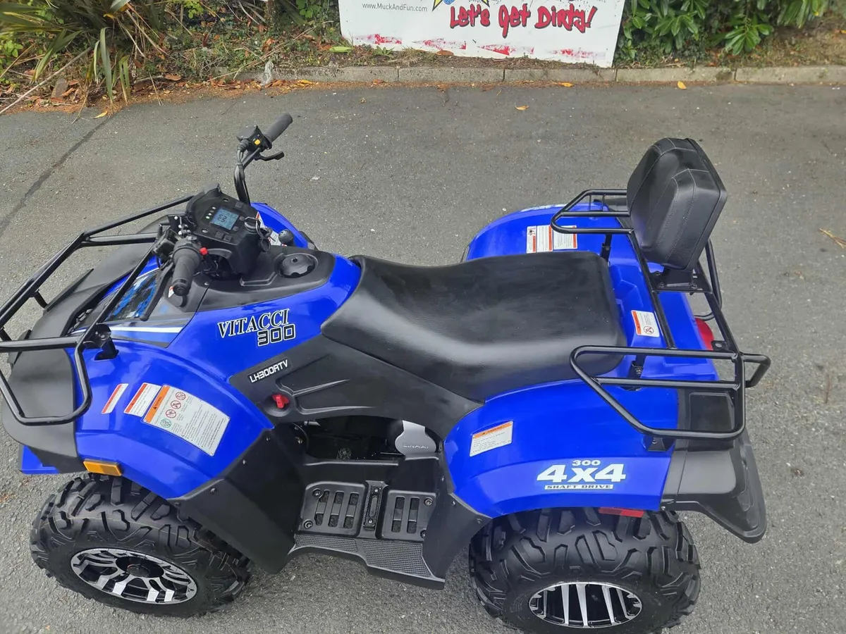 Vitacci 300 quad - Image 2