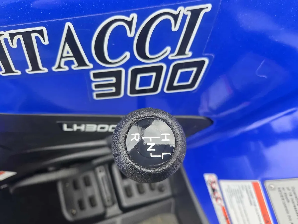 Vitacci 300 quad - Image 3