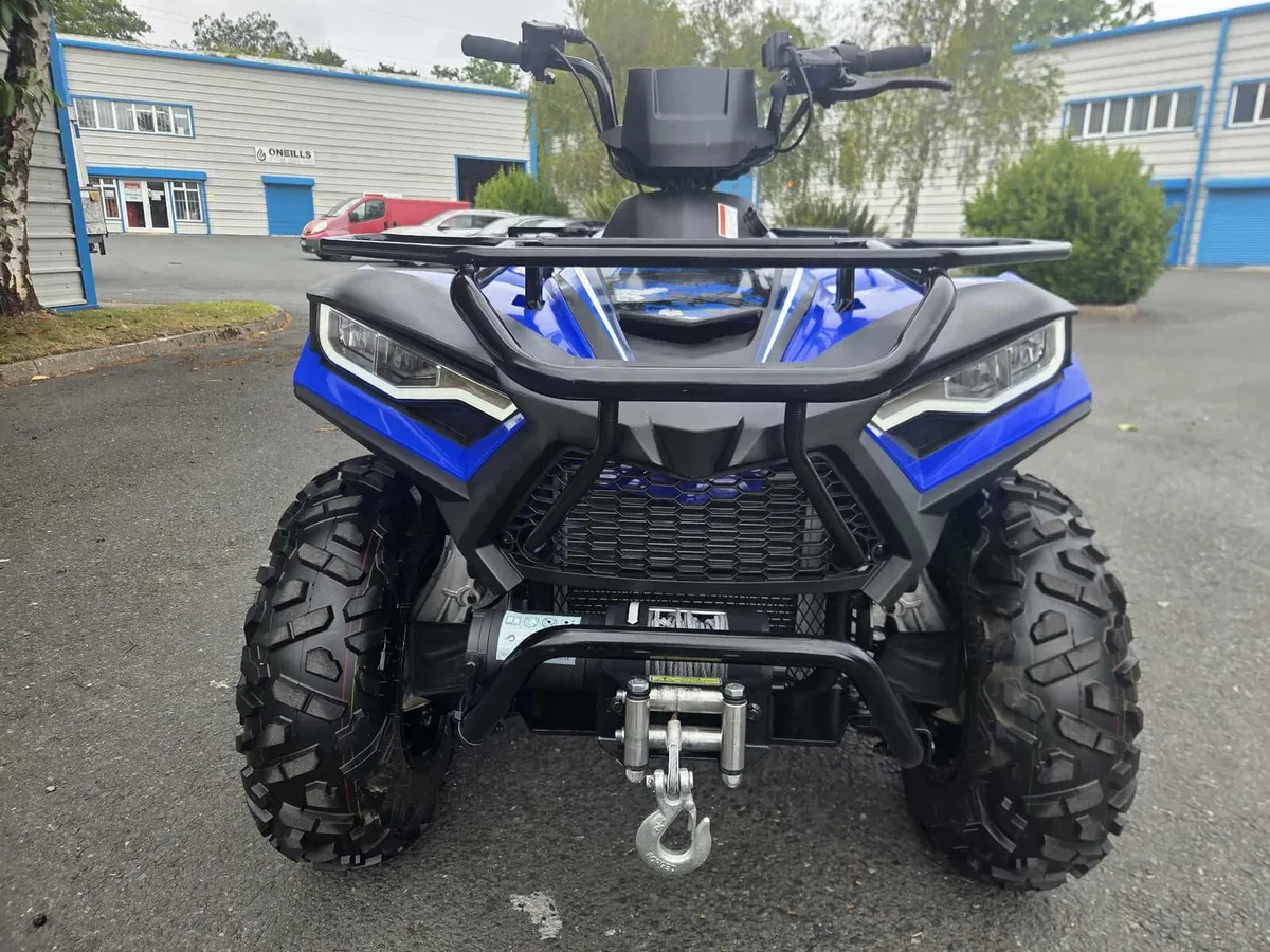 Vitacci 300 quad - Image 4