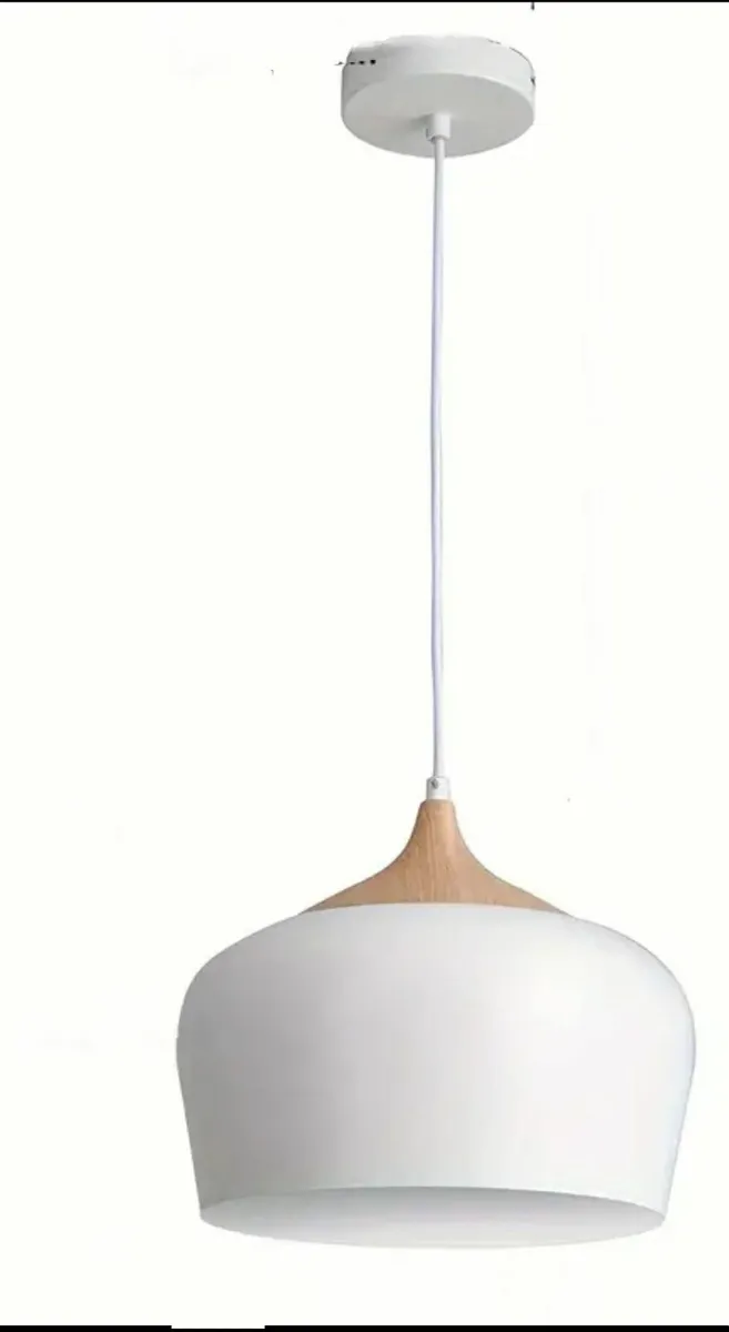 Pendant Lights - Image 1