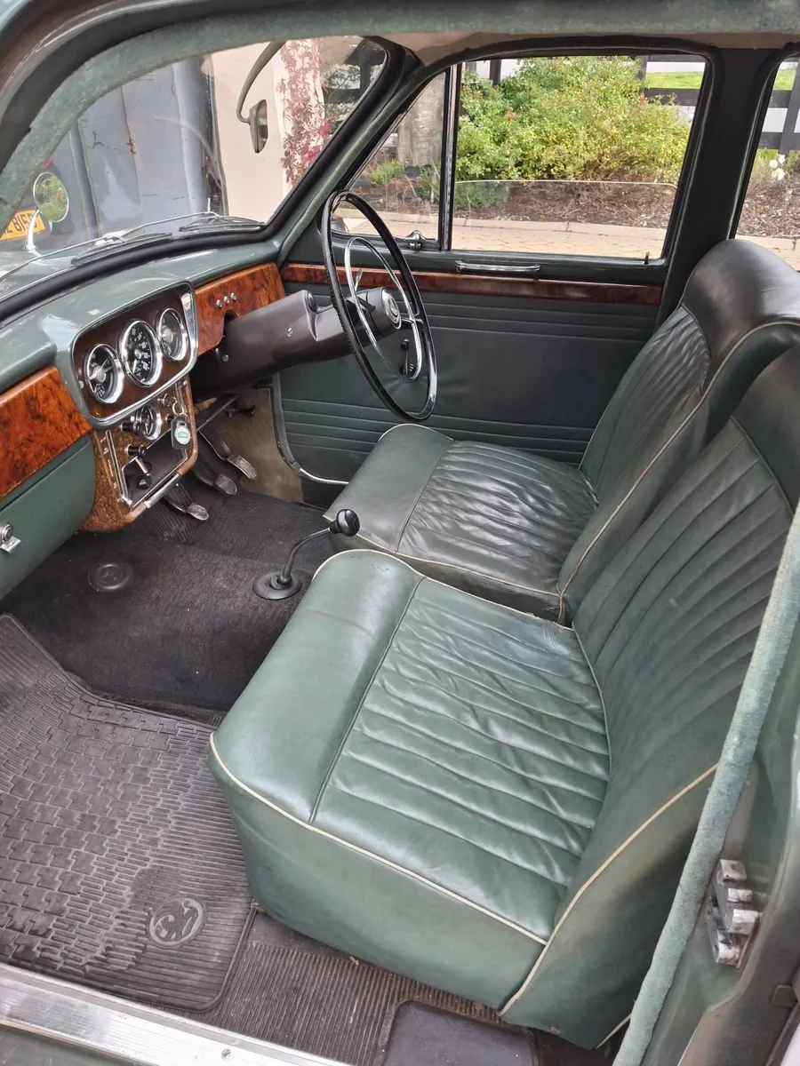 Singer Gazelle - Image 2