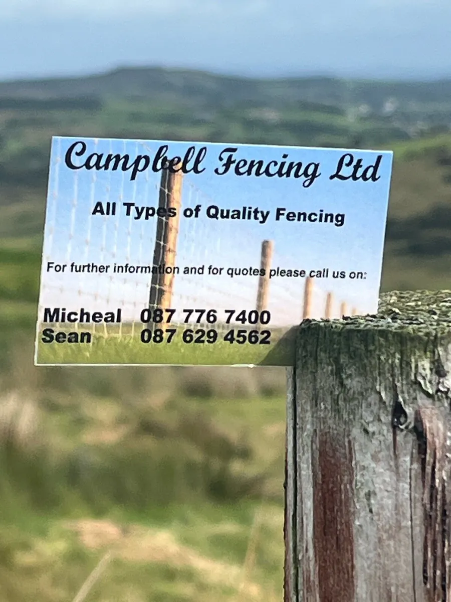 Fencing - Image 2