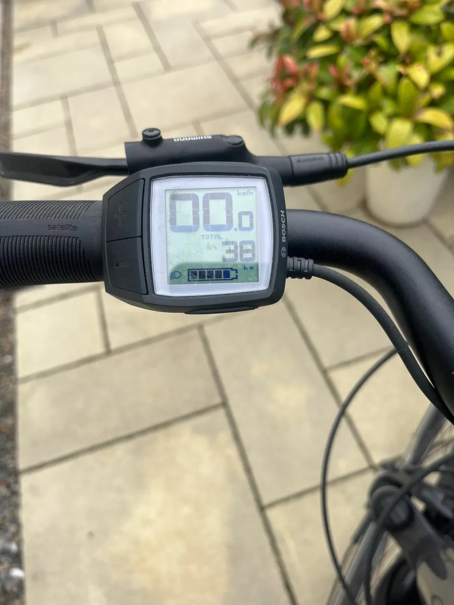 Electric Bikes - Image 4
