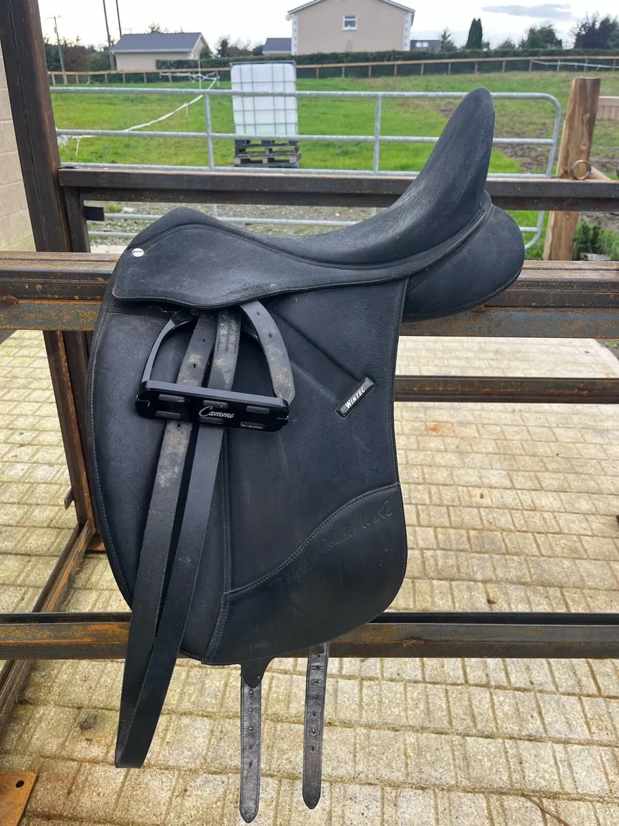 Saddles - Image 1