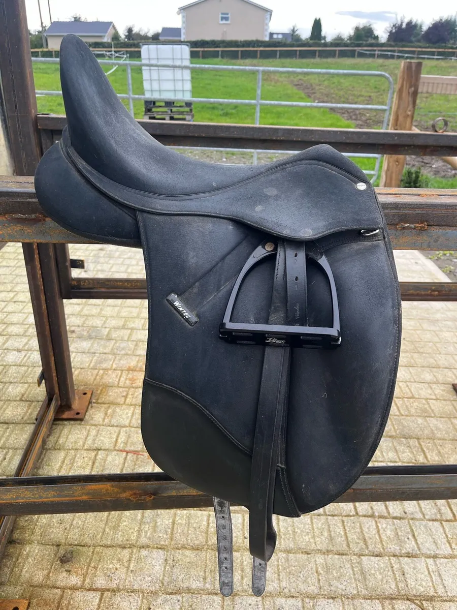 Saddles - Image 2