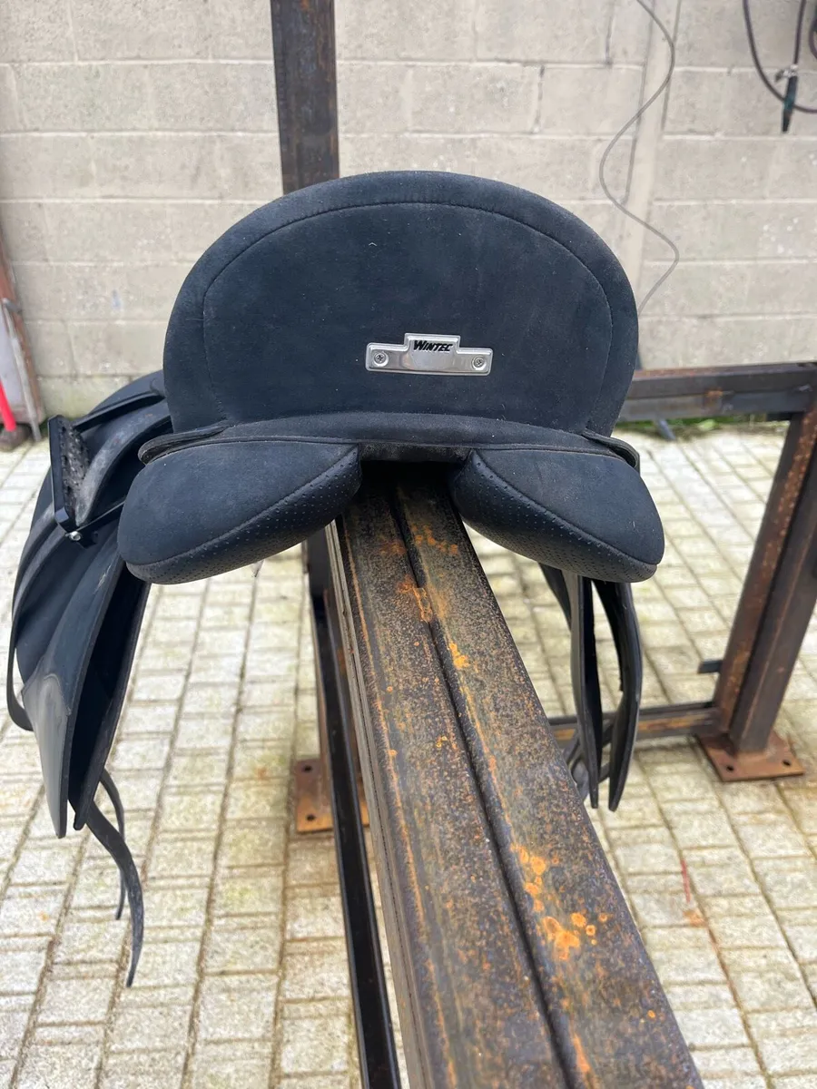 Saddles - Image 4
