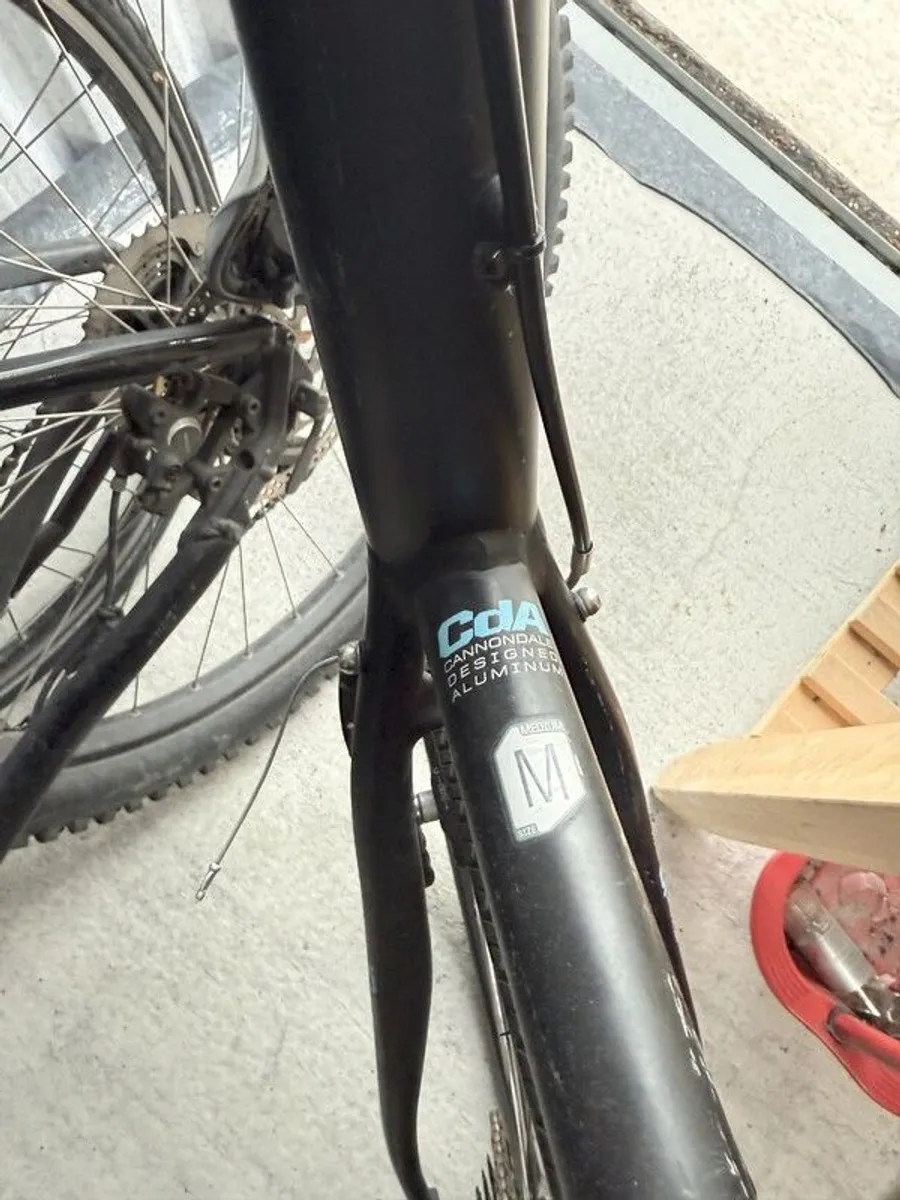 Cannondale Althea - Image 3