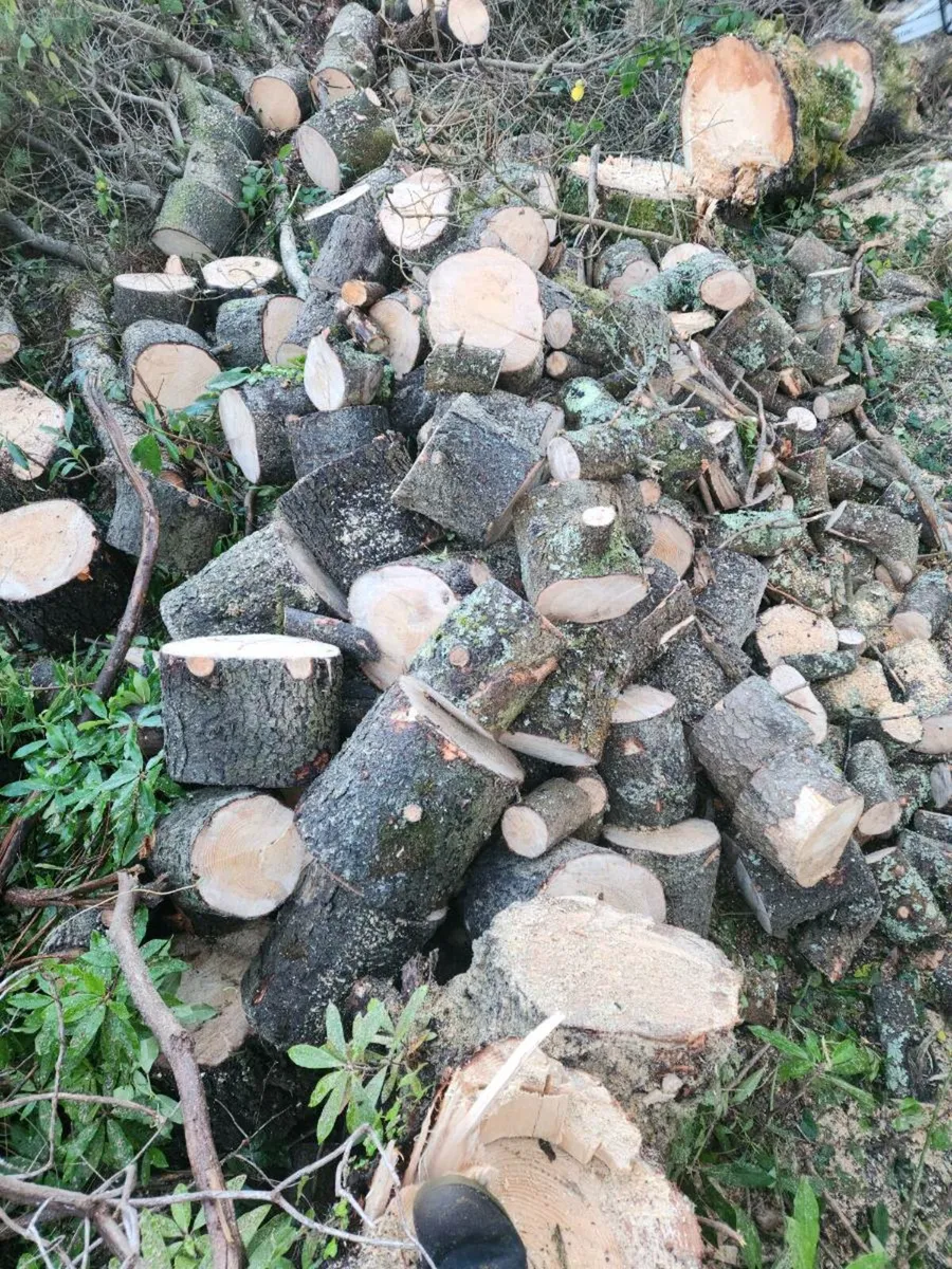 Firewood🔥 - Image 1