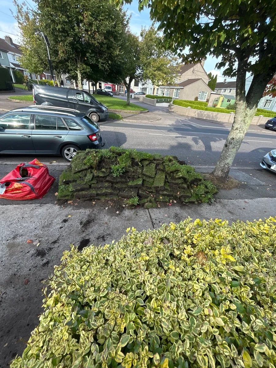 Lawn need gone today 20/9/25