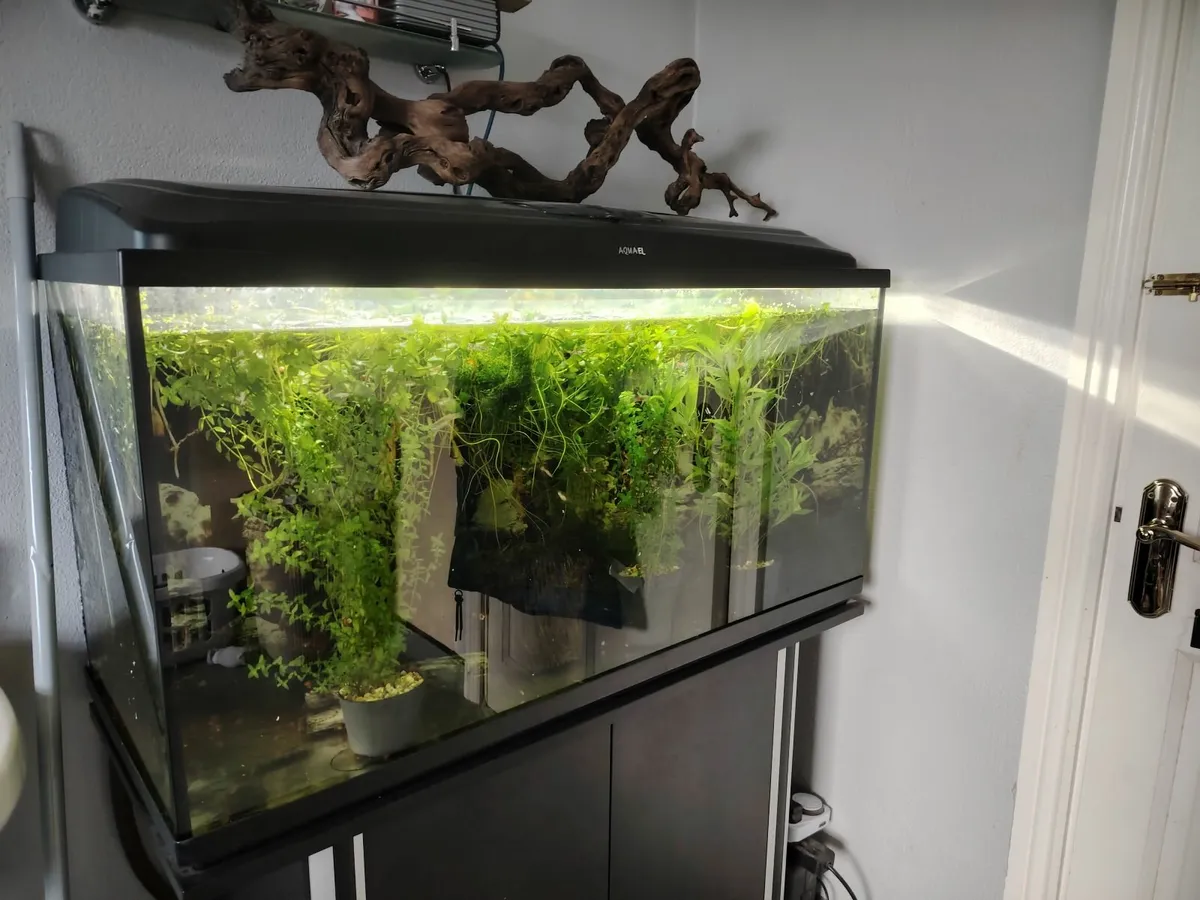 Aquarium Aquael 200L - Image 1