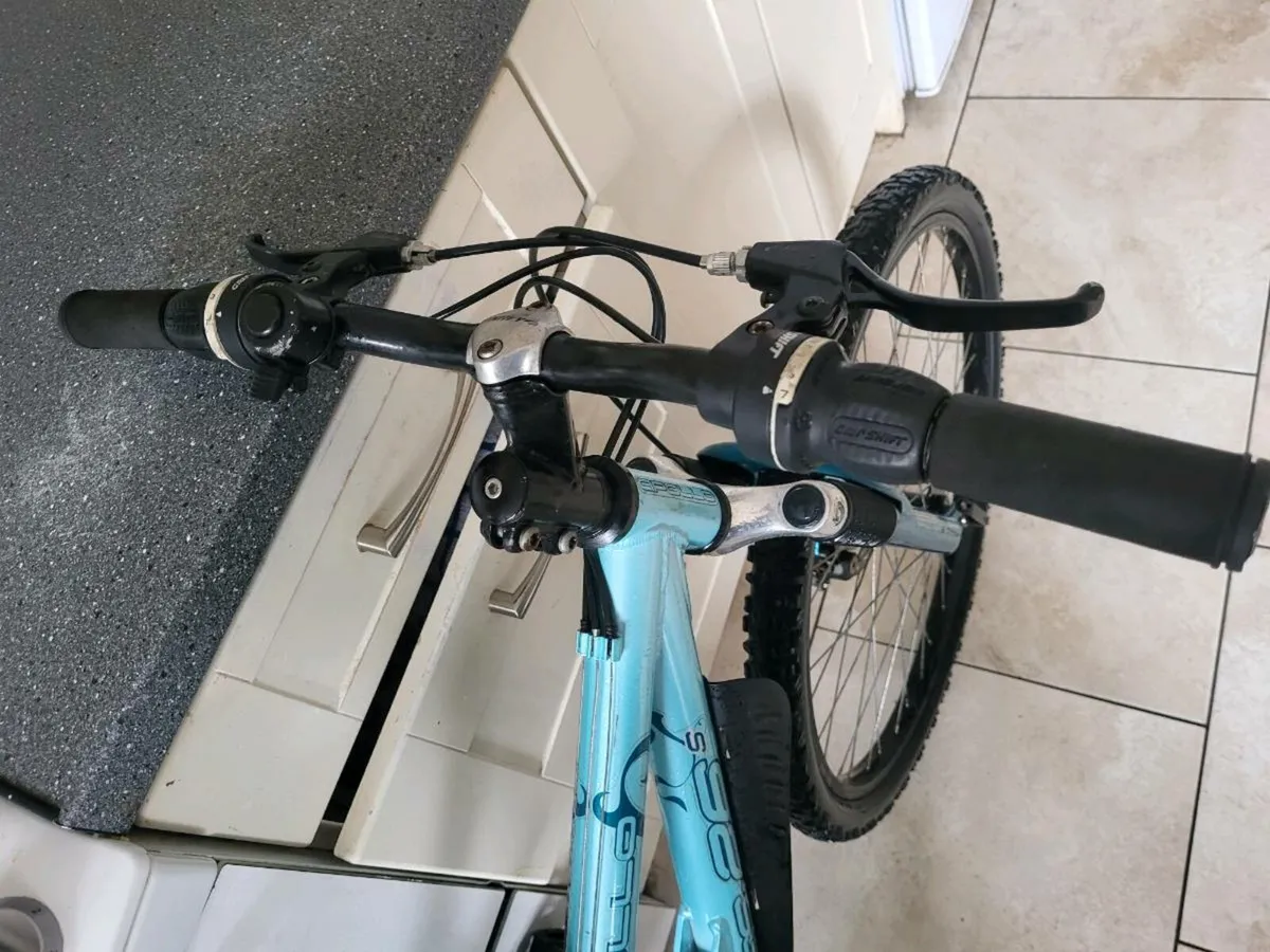 Bike - Image 2