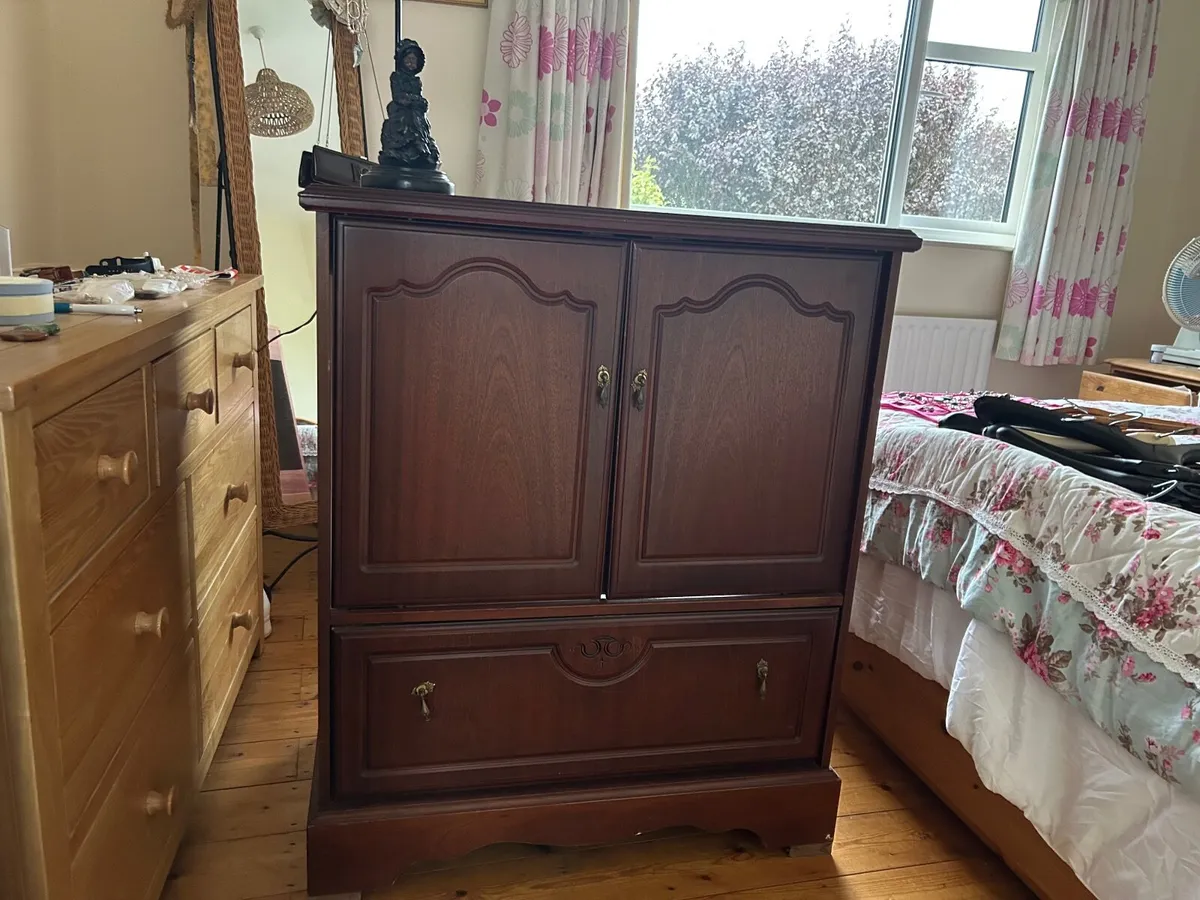 Television unit