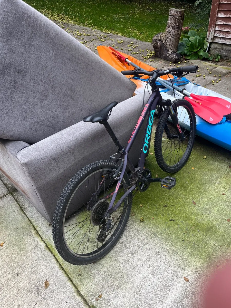 Kids mountain bike - Image 1