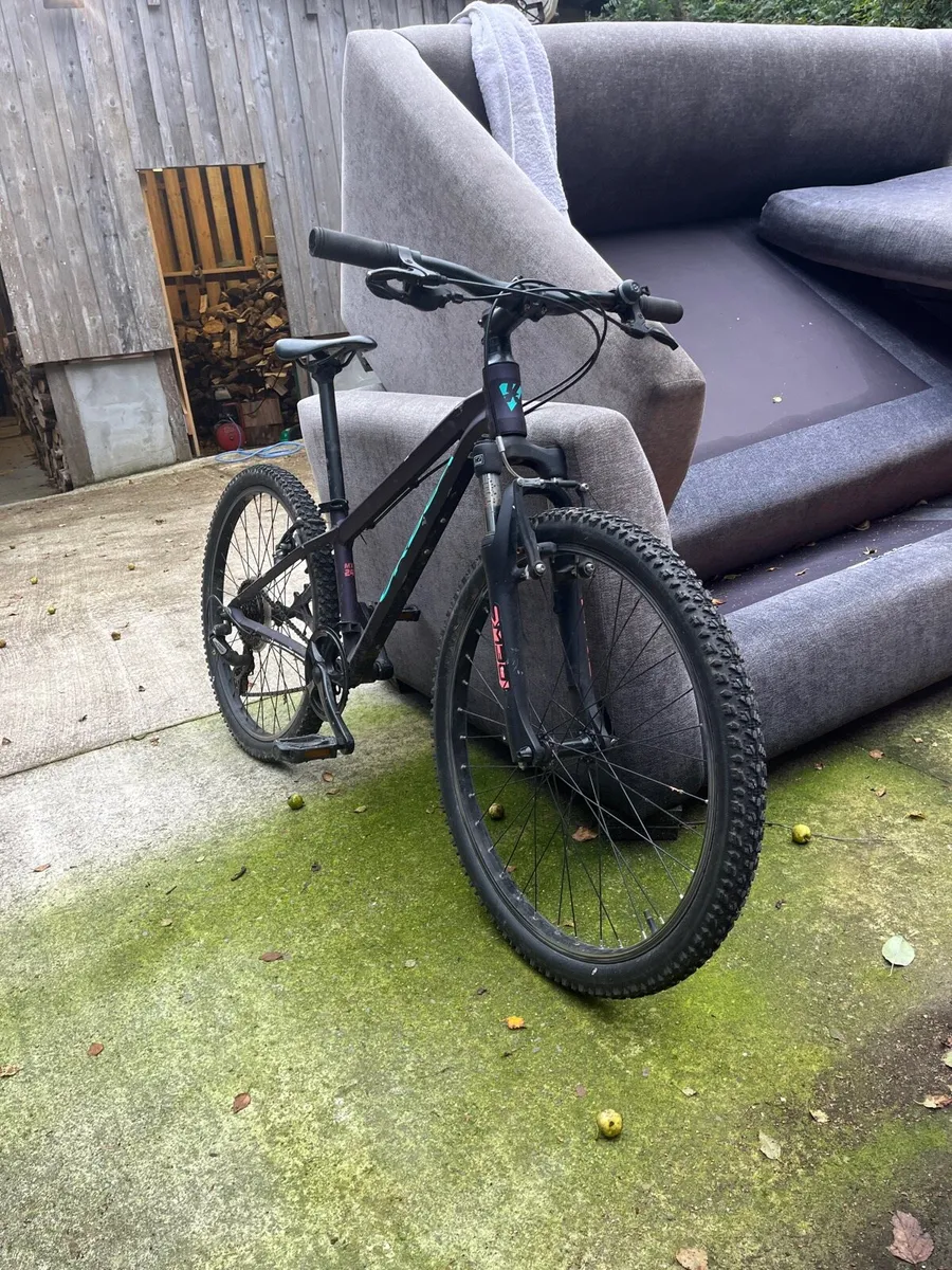 Kids mountain bike - Image 2