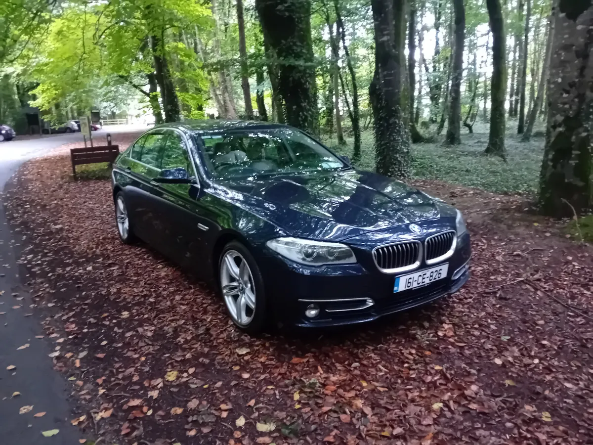 161 BMW 520D SE LUXURY AUTO SALOON - Image 3