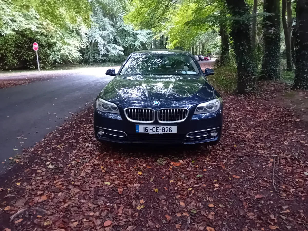 161 BMW 520D SE LUXURY AUTO SALOON - Image 2