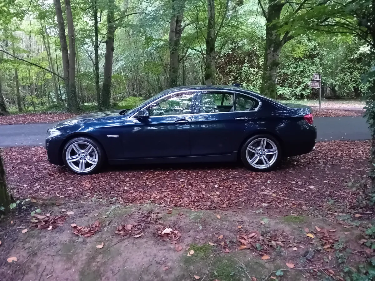 161 BMW 520D SE LUXURY AUTO SALOON - Image 4