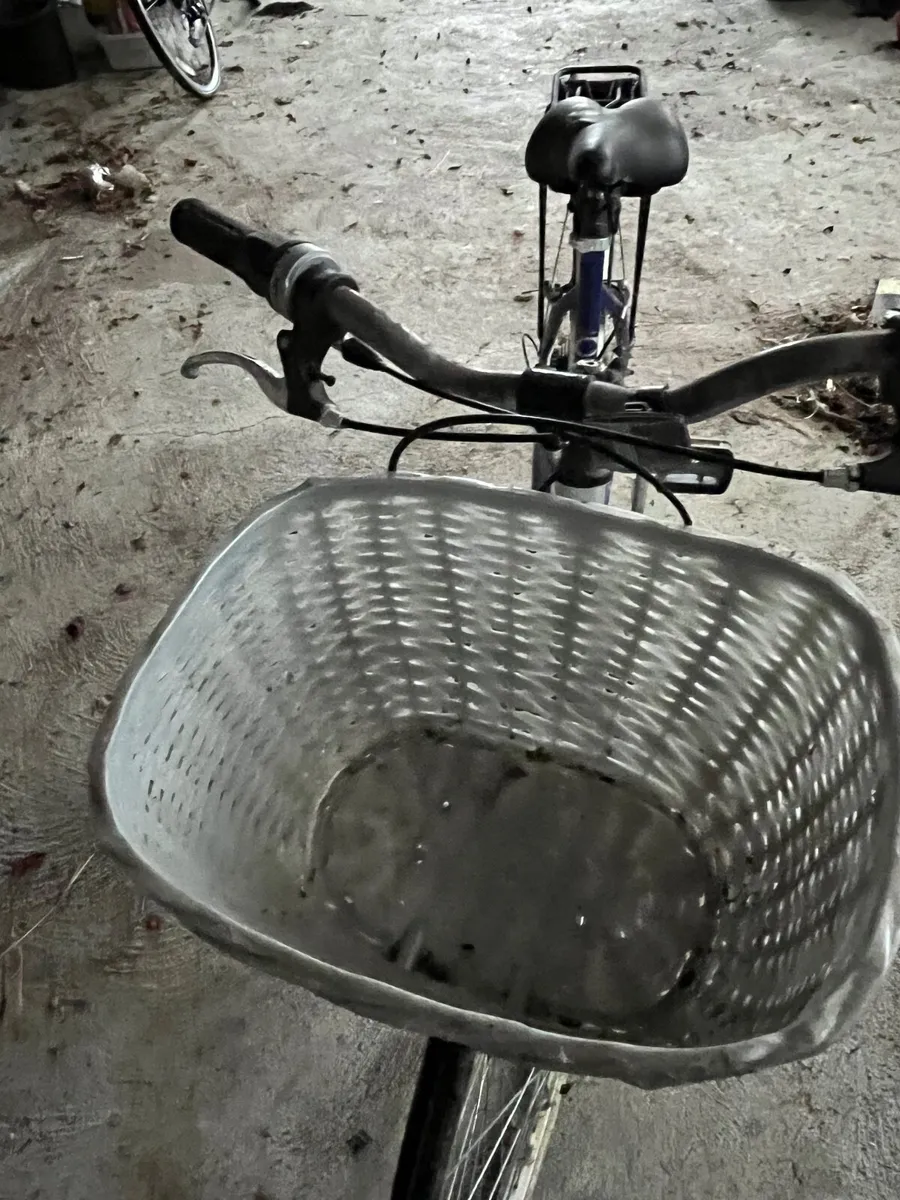 Ladies bike - Image 1