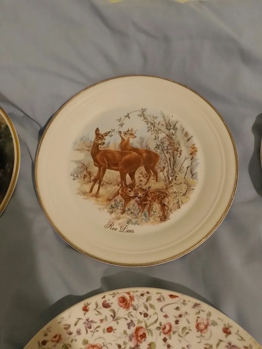 Antique Wall Hanging Plates 15 in the LOT - Image 2