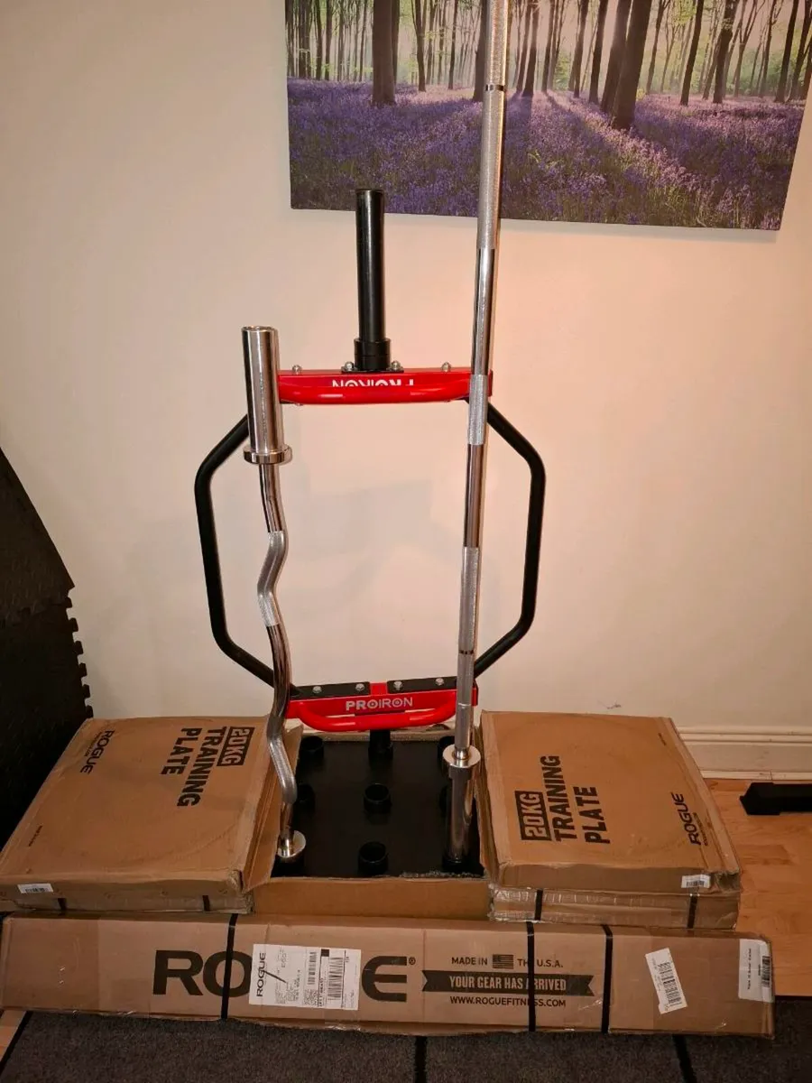 Rogue Plates Gym - Image 1