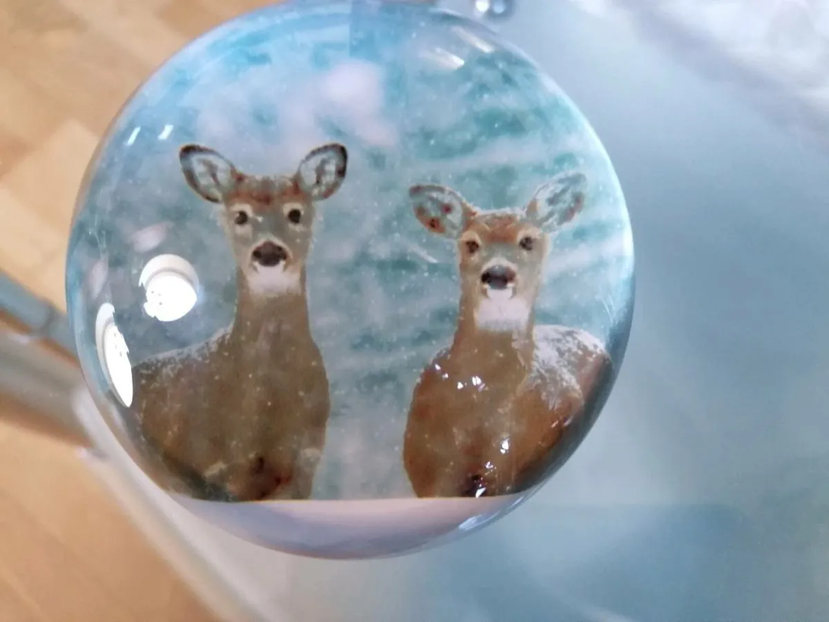 Paperweight - Image 3