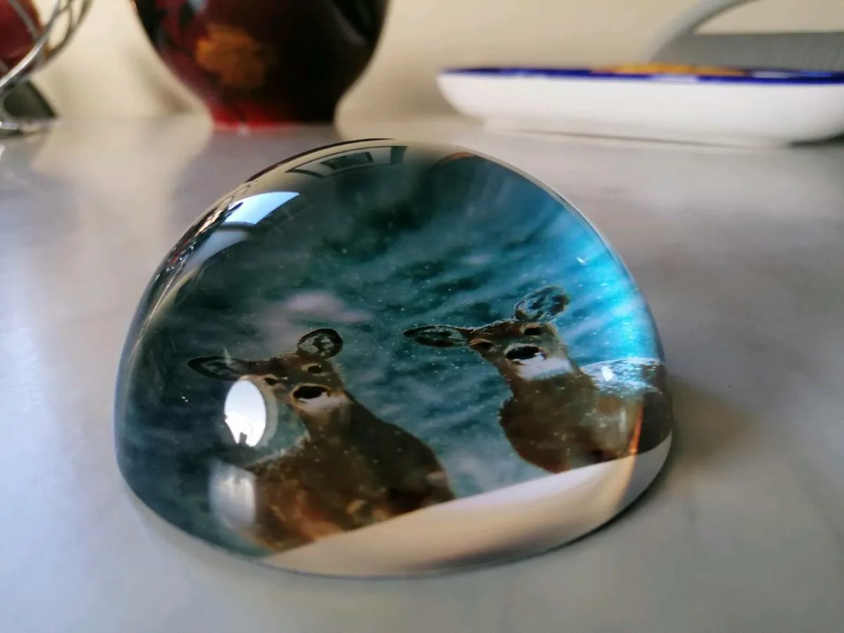 Paperweight - Image 4