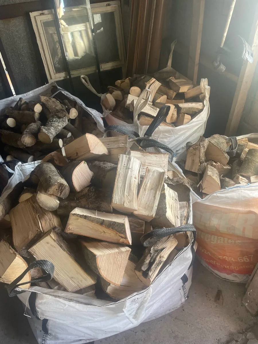 Firewood - Image 2