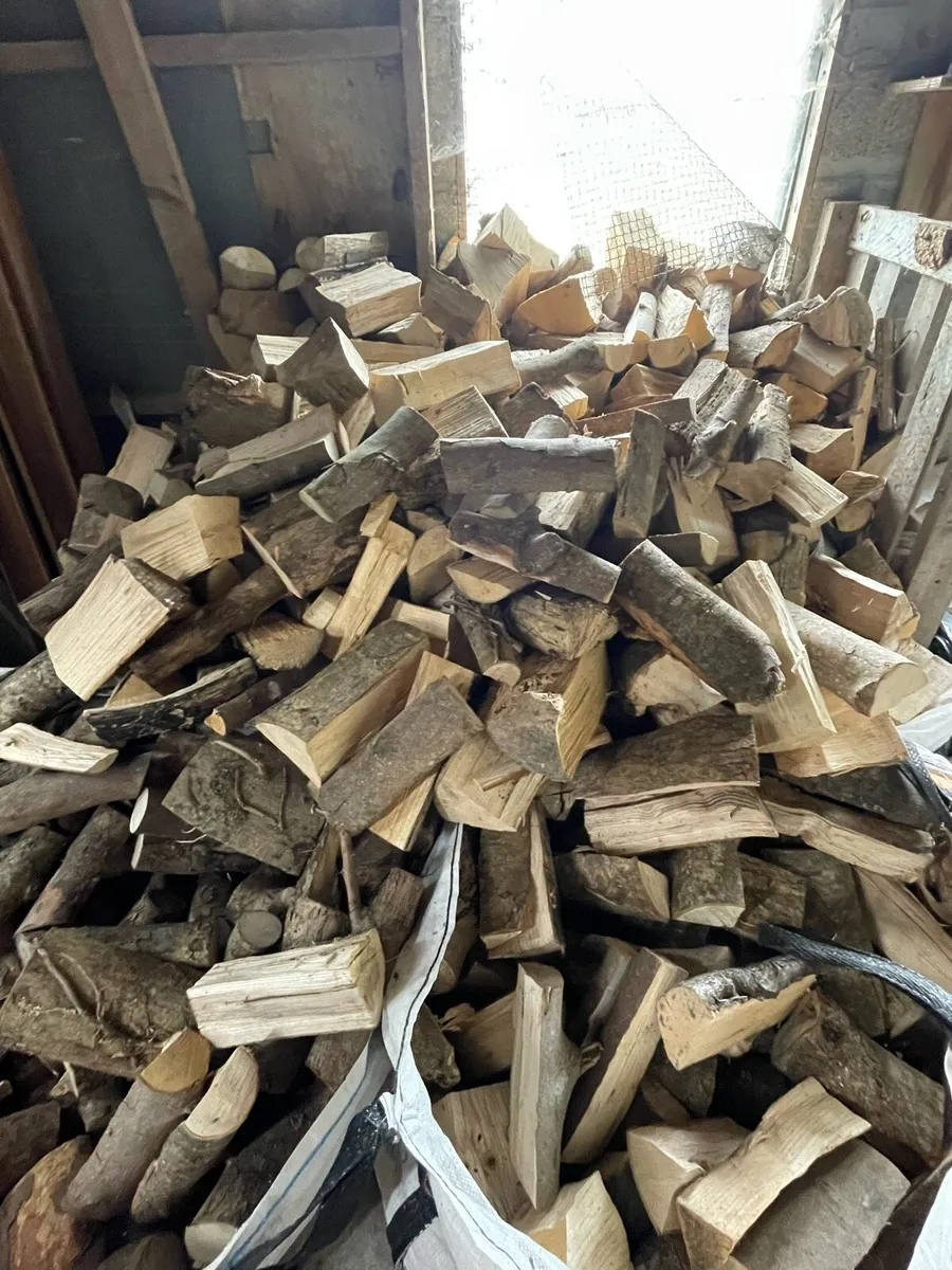 Firewood - Image 3