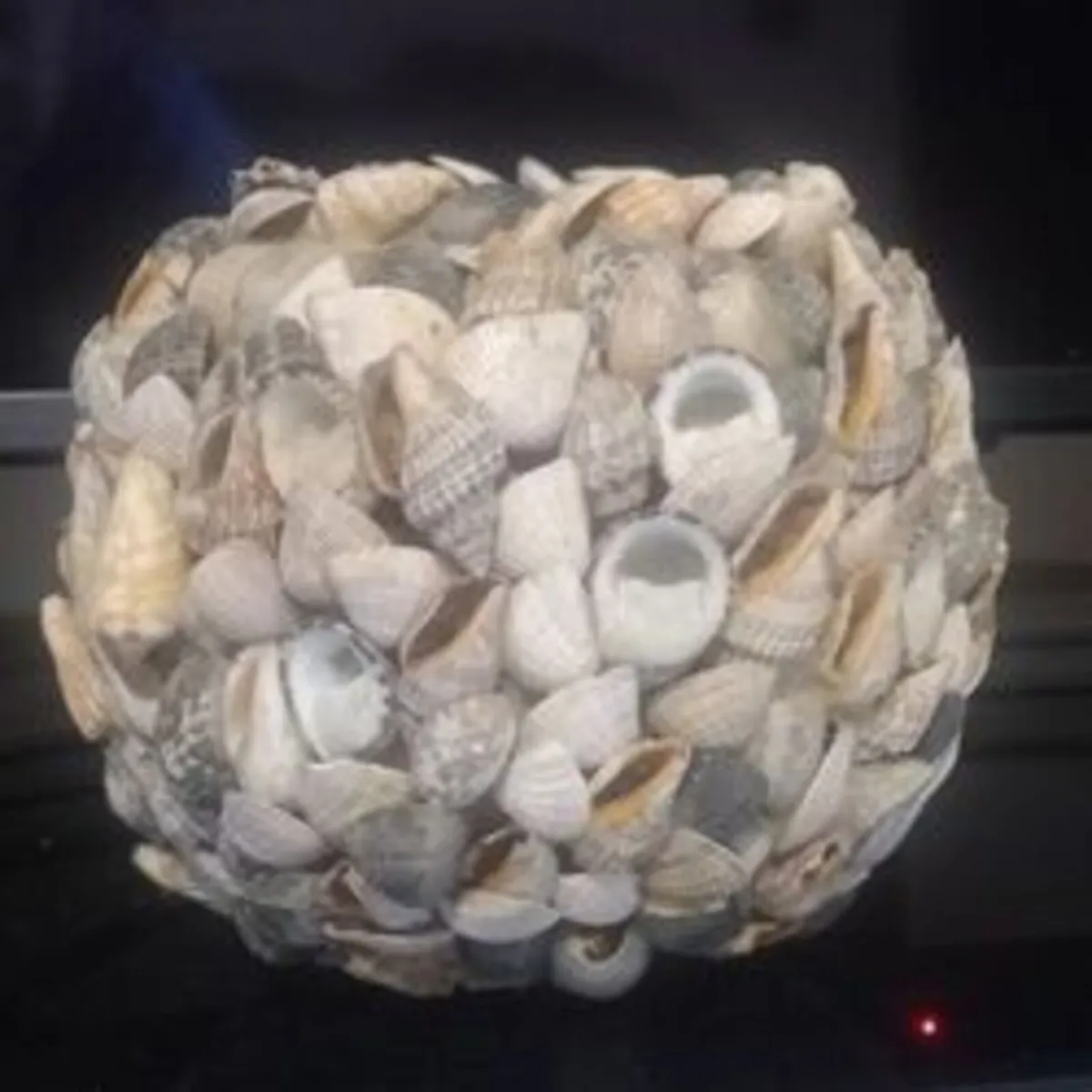 Lovely Hand crafted seashell plant pot - Image 1