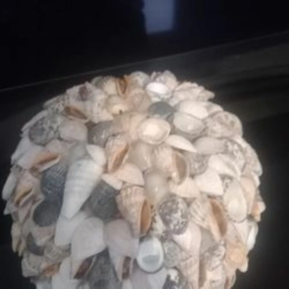 Lovely Hand crafted seashell plant pot - Image 4