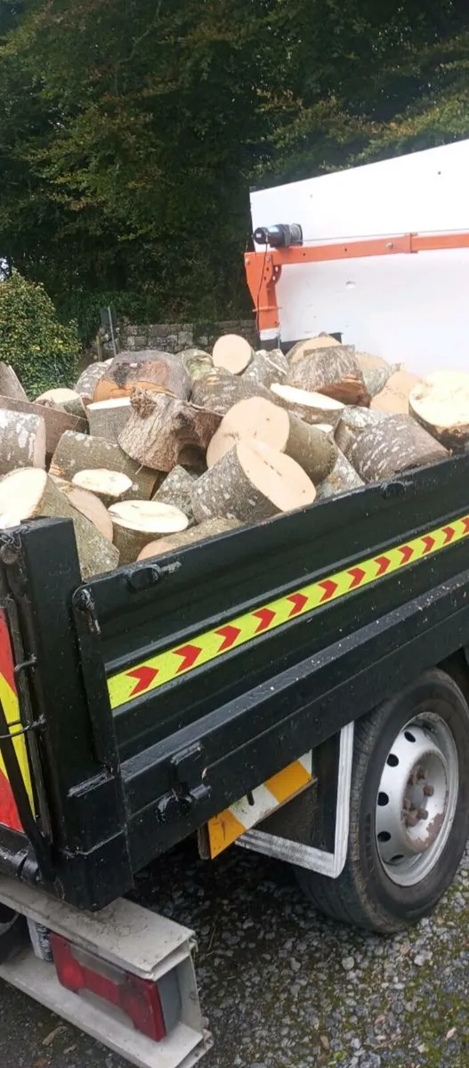 Timber - Image 1