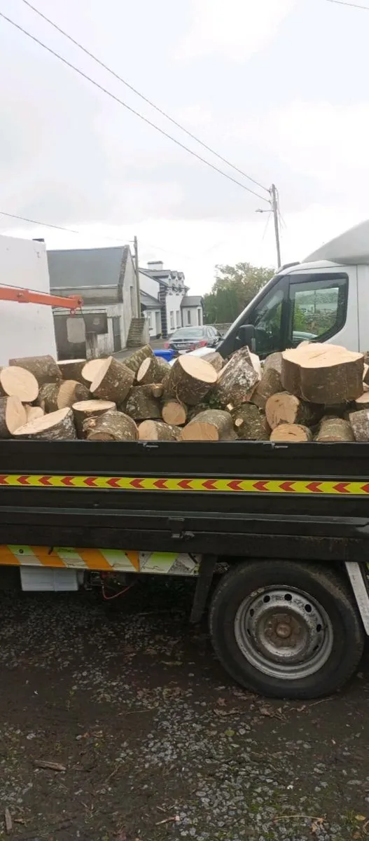 Timber - Image 2