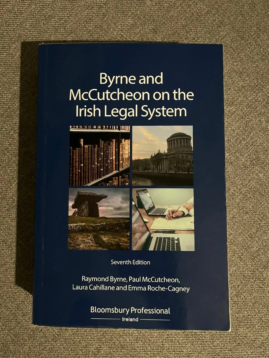 Byrne and McCutcheon on the Irish Legal System - Image 1