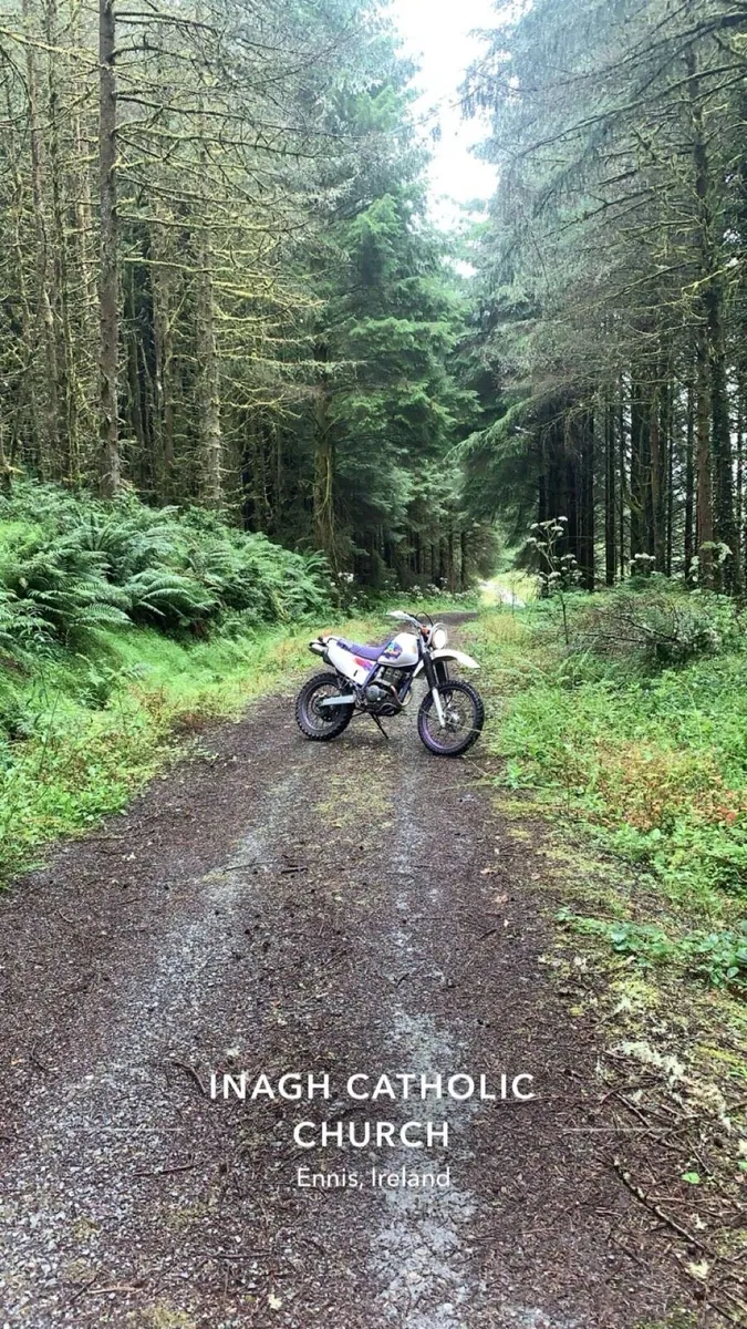 Yamaha TTR 250 2002 - Image 1