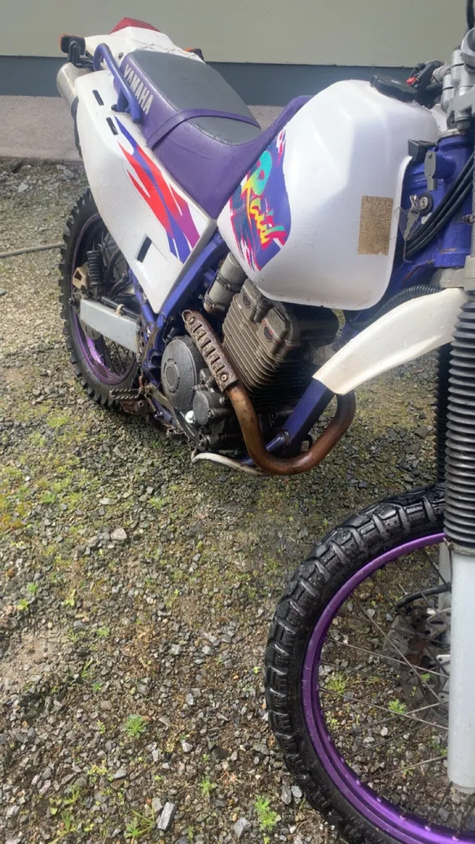Yamaha TTR 250 2002 - Image 2
