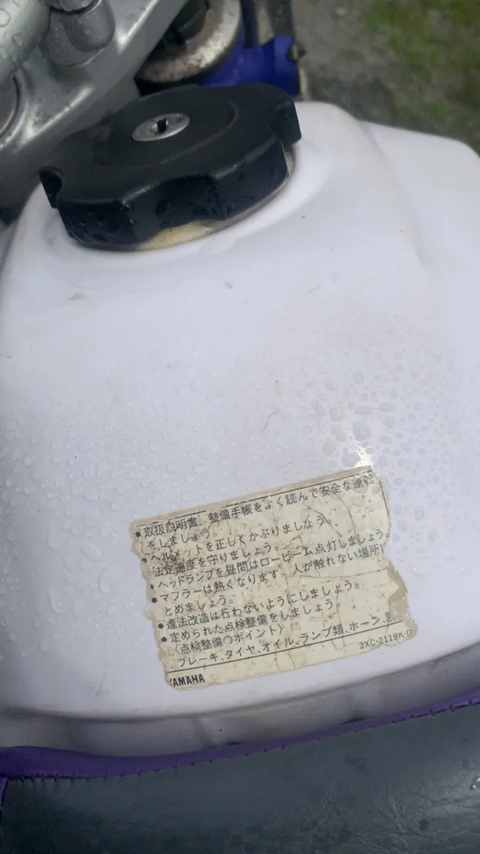 Yamaha TTR 250 2002 - Image 3