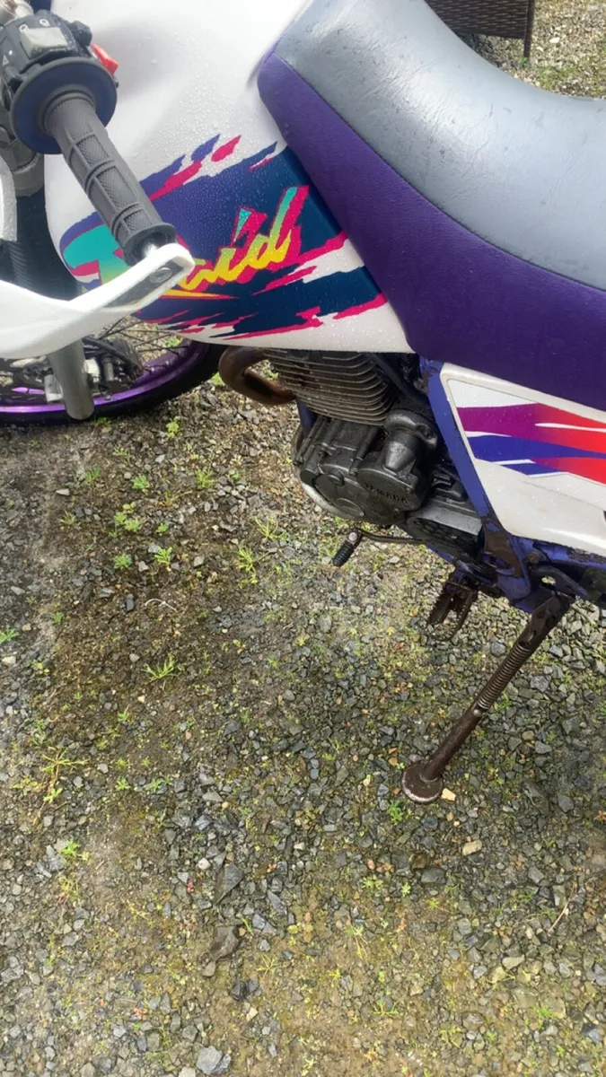 Yamaha TTR 250 2002 - Image 4
