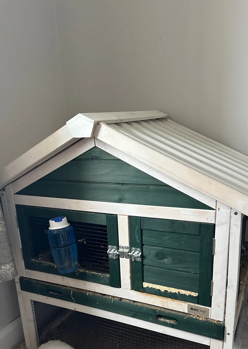 Rabbit Hutch
