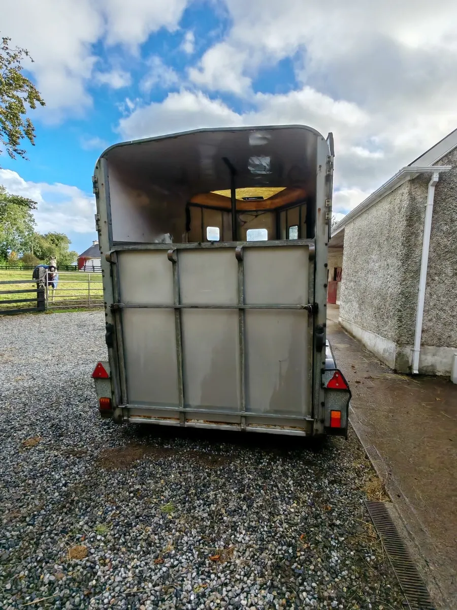Horse box ifor Williams 510 - Image 2