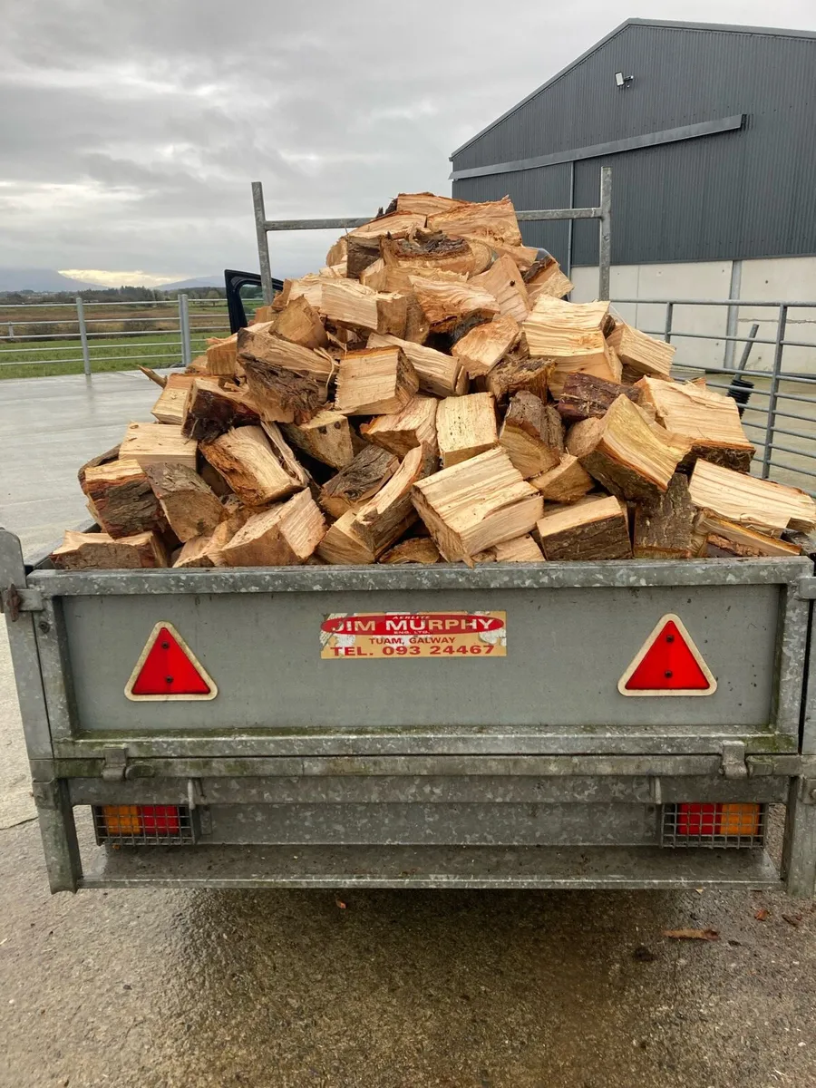 Timber For Sale - Image 2