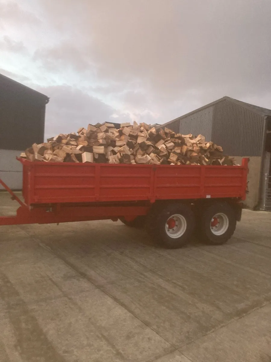 Timber For Sale - Image 4