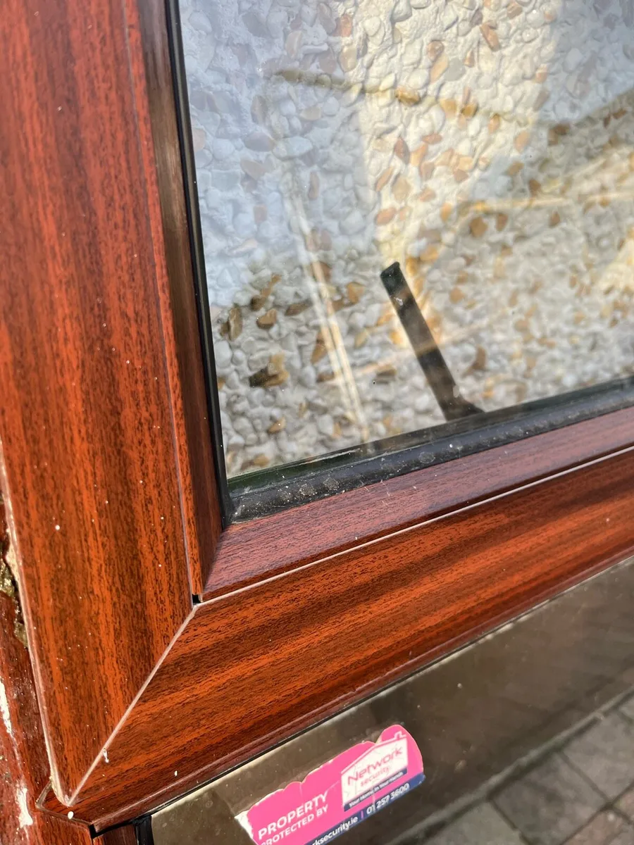 Window - Image 3