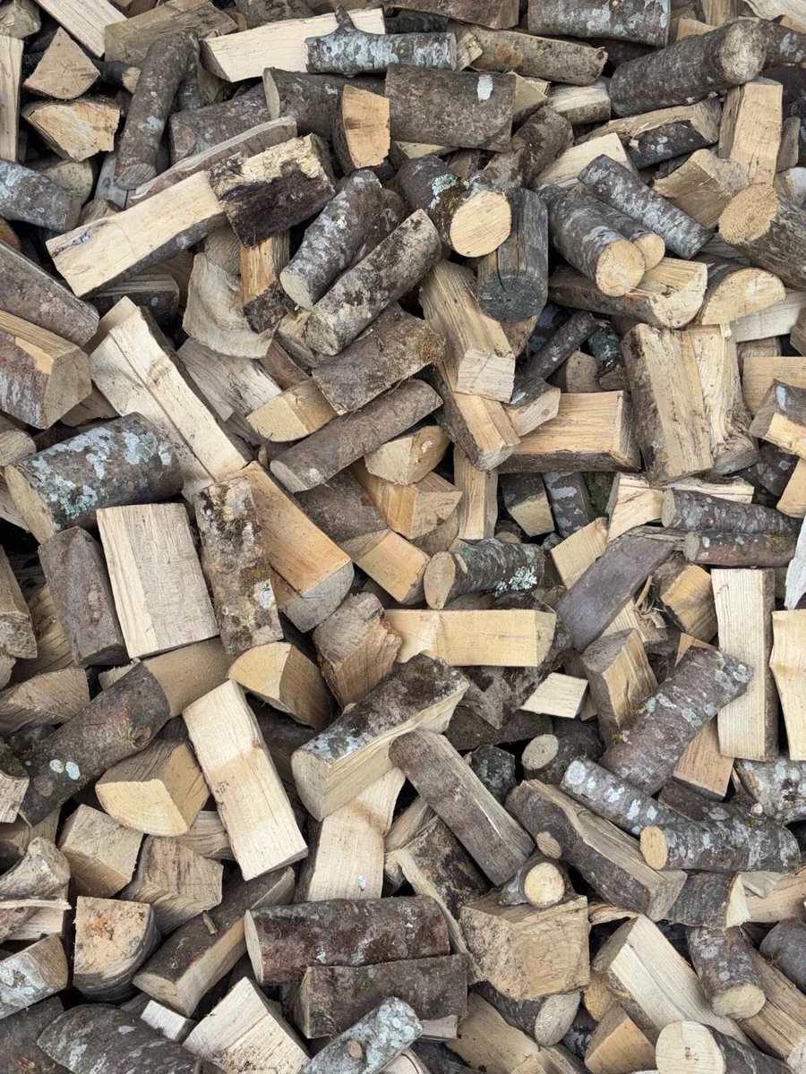 Firewood - Image 2
